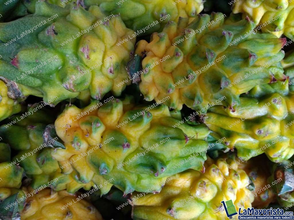 Pitaya