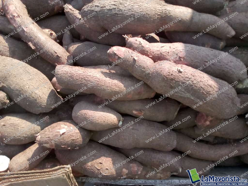 Yuca