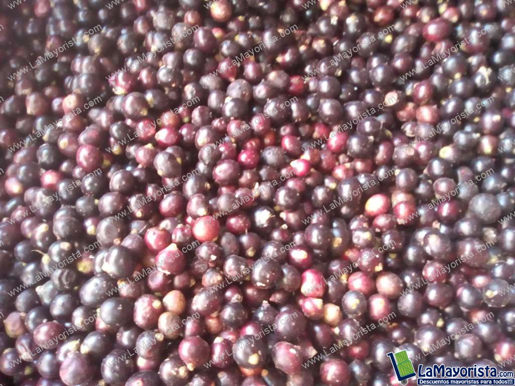 Corozo