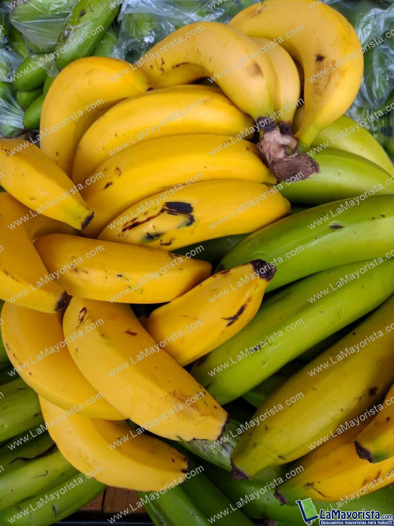 Banano criollo