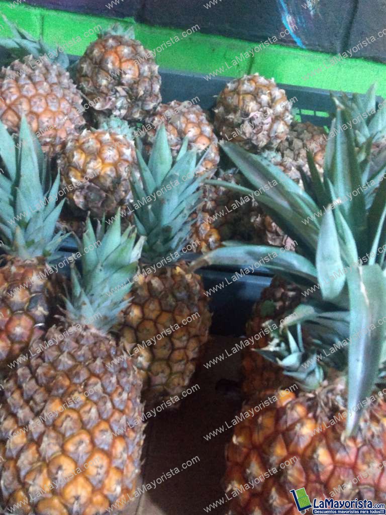 Piña x15unidades