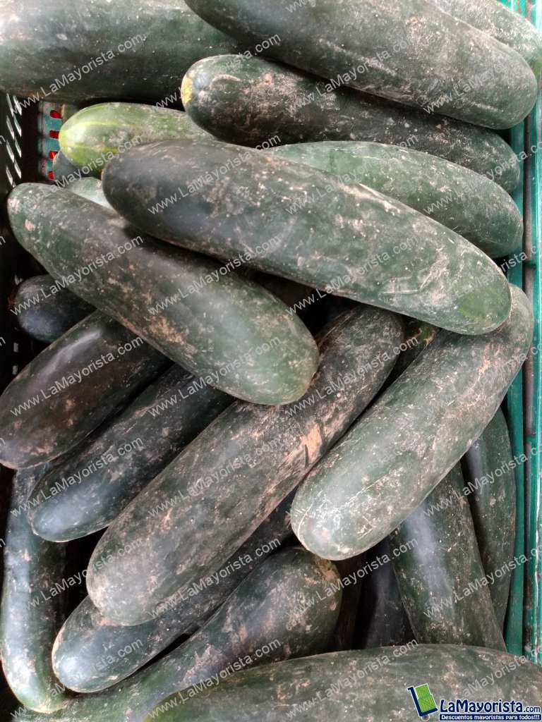 Pepino cohombro