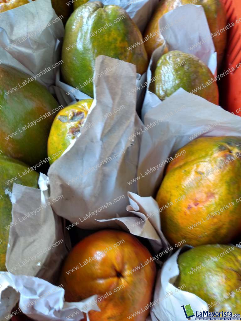 Papaya maradol