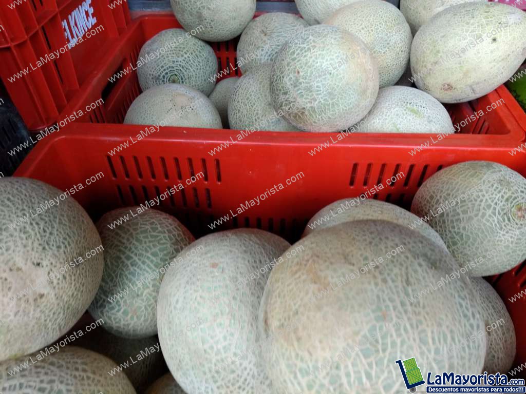 Melon