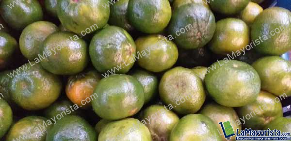 Mandarina oneca