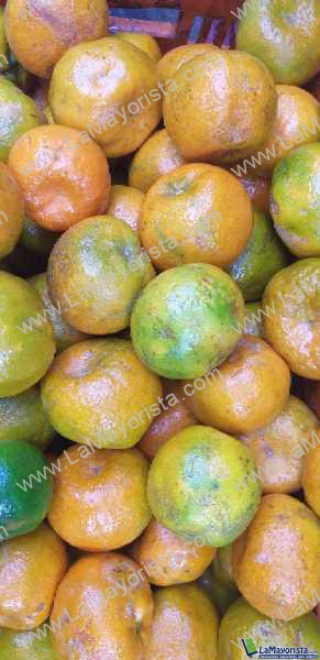 Mandarina