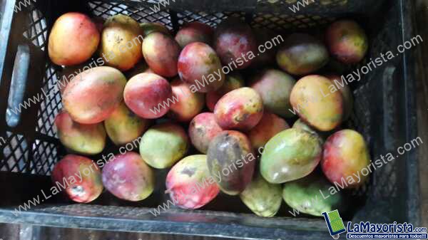 Mango Tomy
