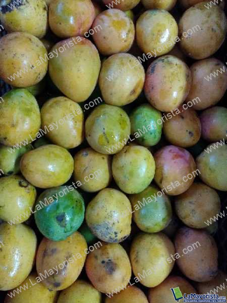 Mango criollo