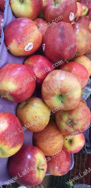 Manzana gala