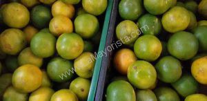 Naranja de 2da