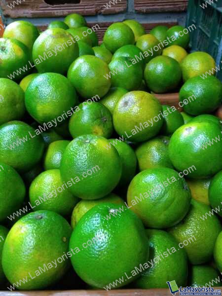 Naranja de pirmera