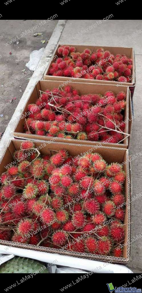 Rambutan