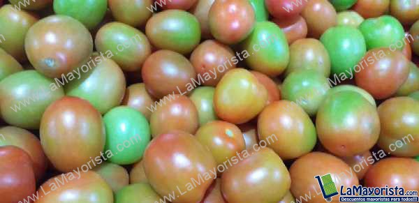 Tomate chonto parejo