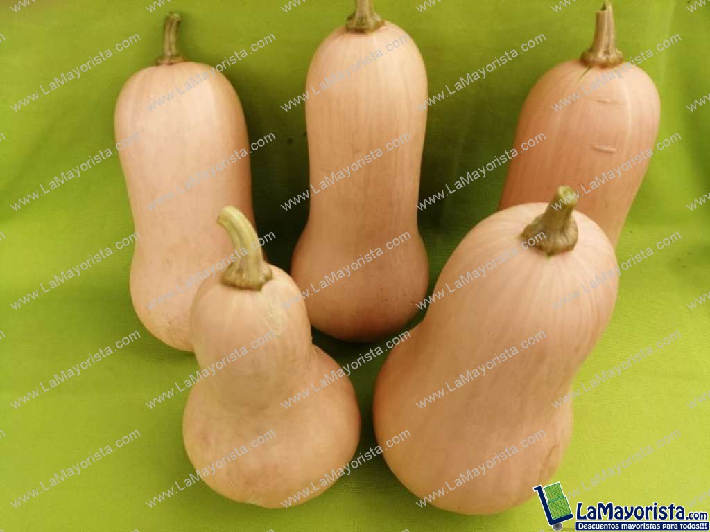 Ahuyama variedad Zacata
