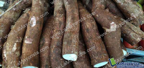 Yuca