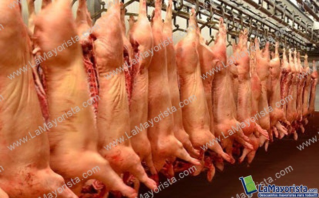 Cerdo en canal