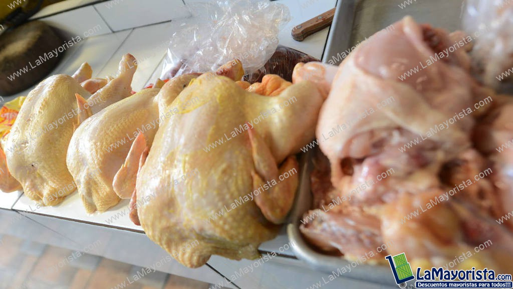 Gallina roja