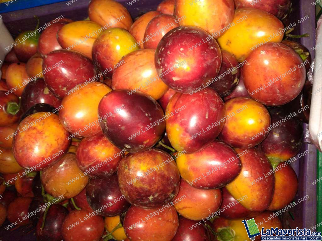 Tomate de arbol injerto