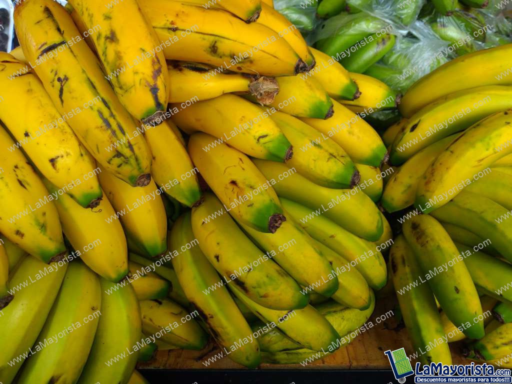Banano criollo