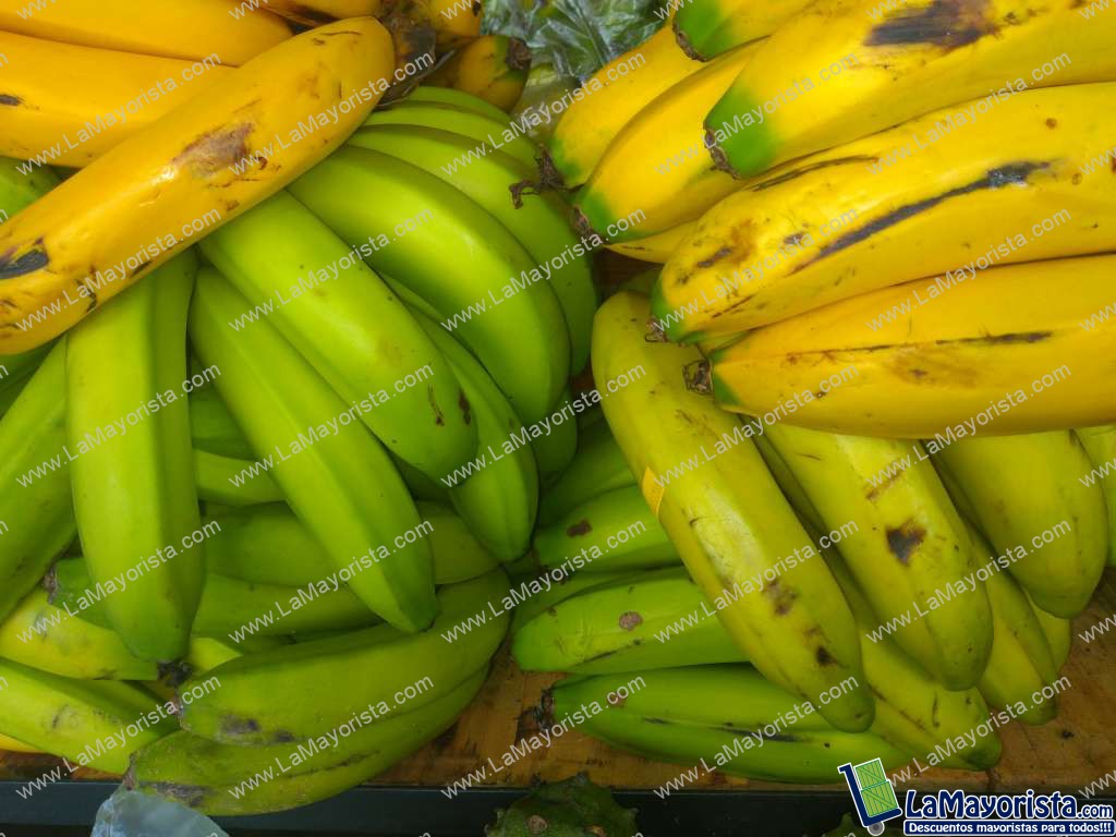 Banano criollo