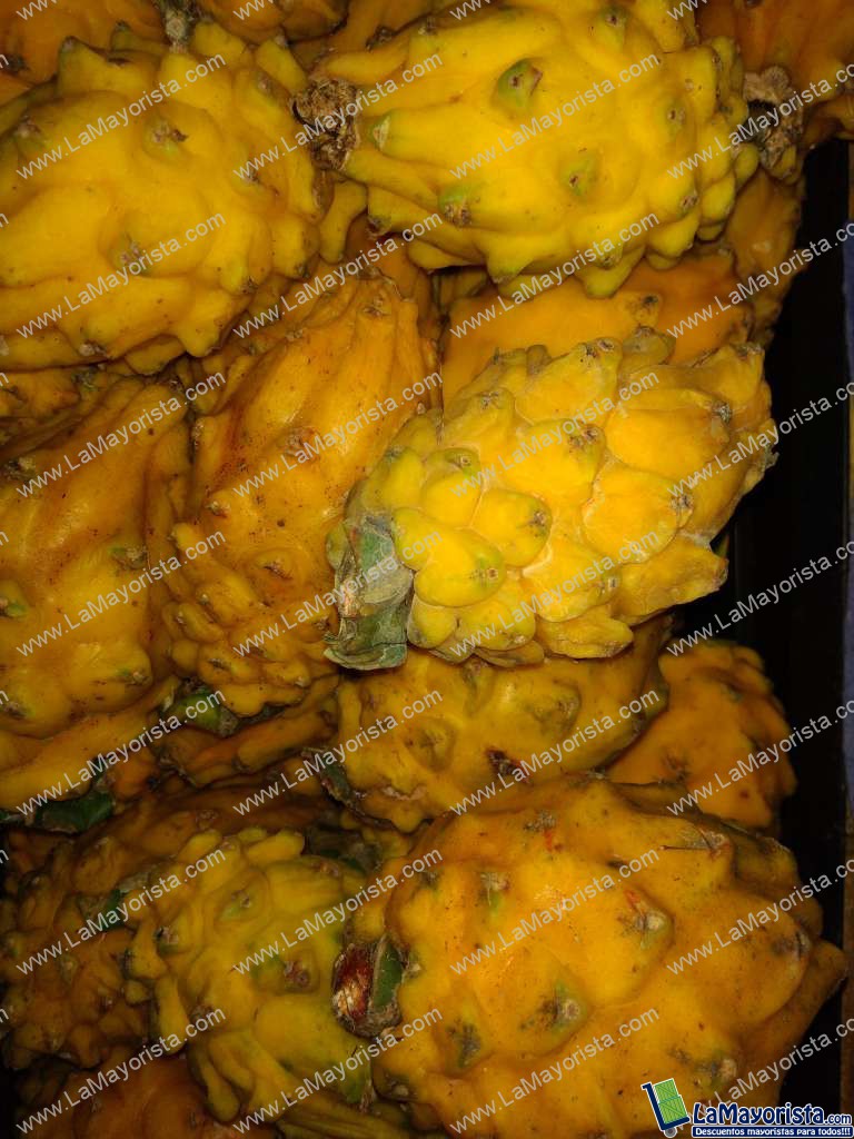 Pitaya