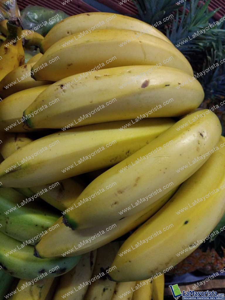 Banano criollo