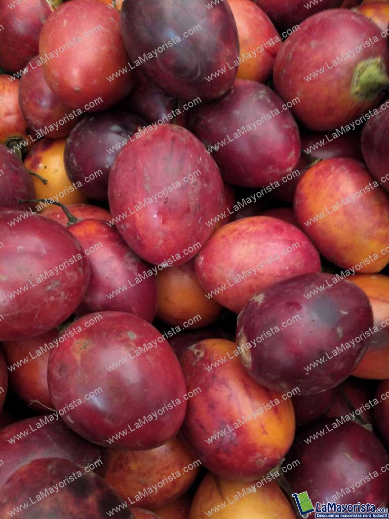 Tomate de árbol injerto