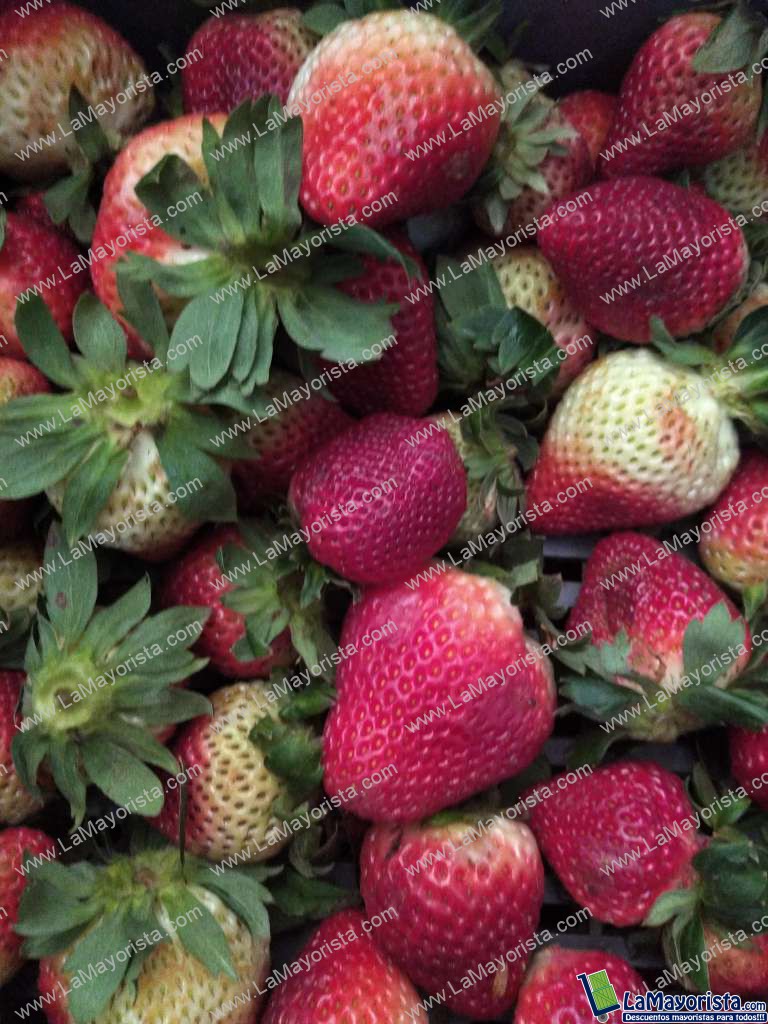 Fresa jumbo