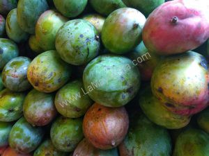 Mango farchi