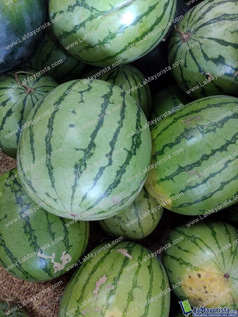 Sandia baby