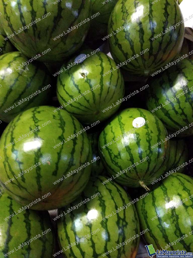 Sandia baby