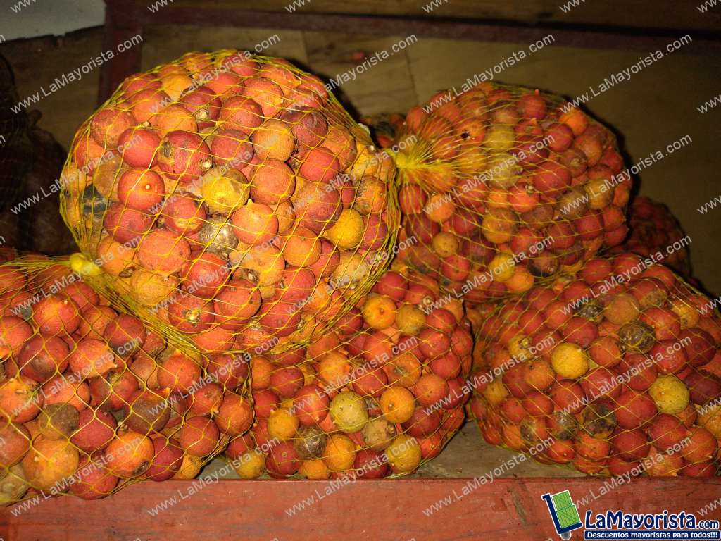 Corozo