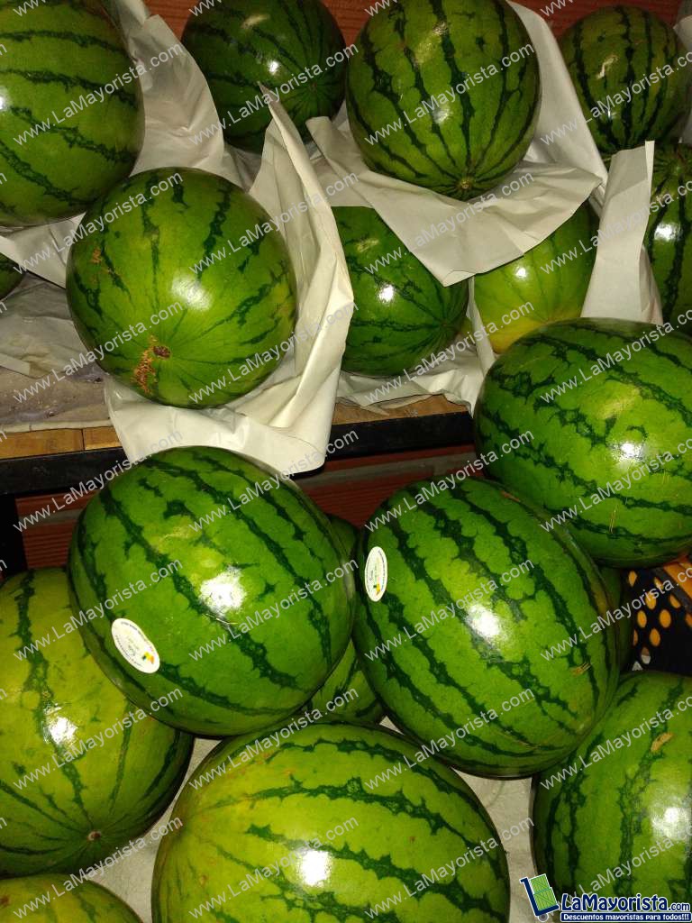 Sandia baby