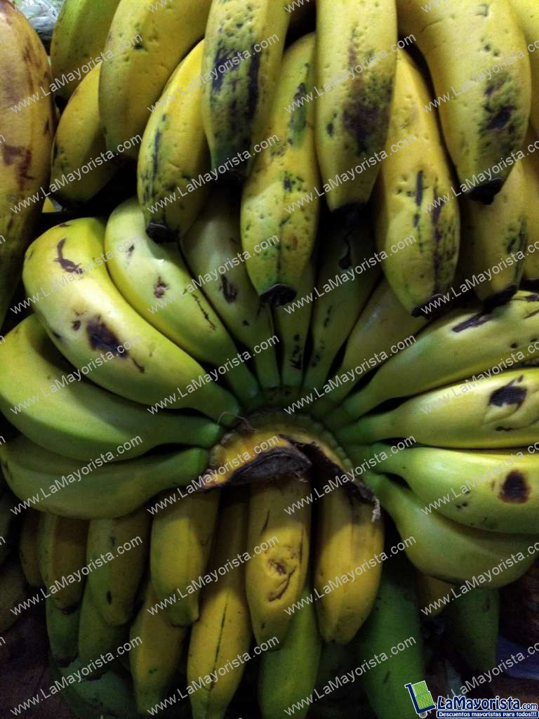 Banano criollo