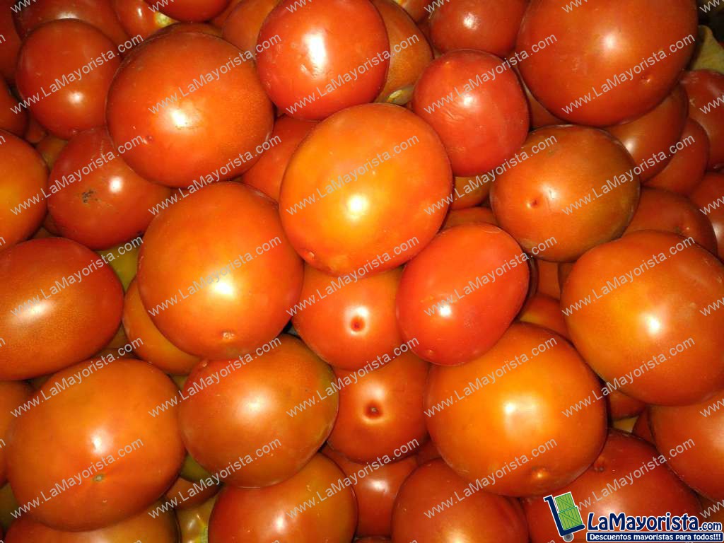 Tomate chonto