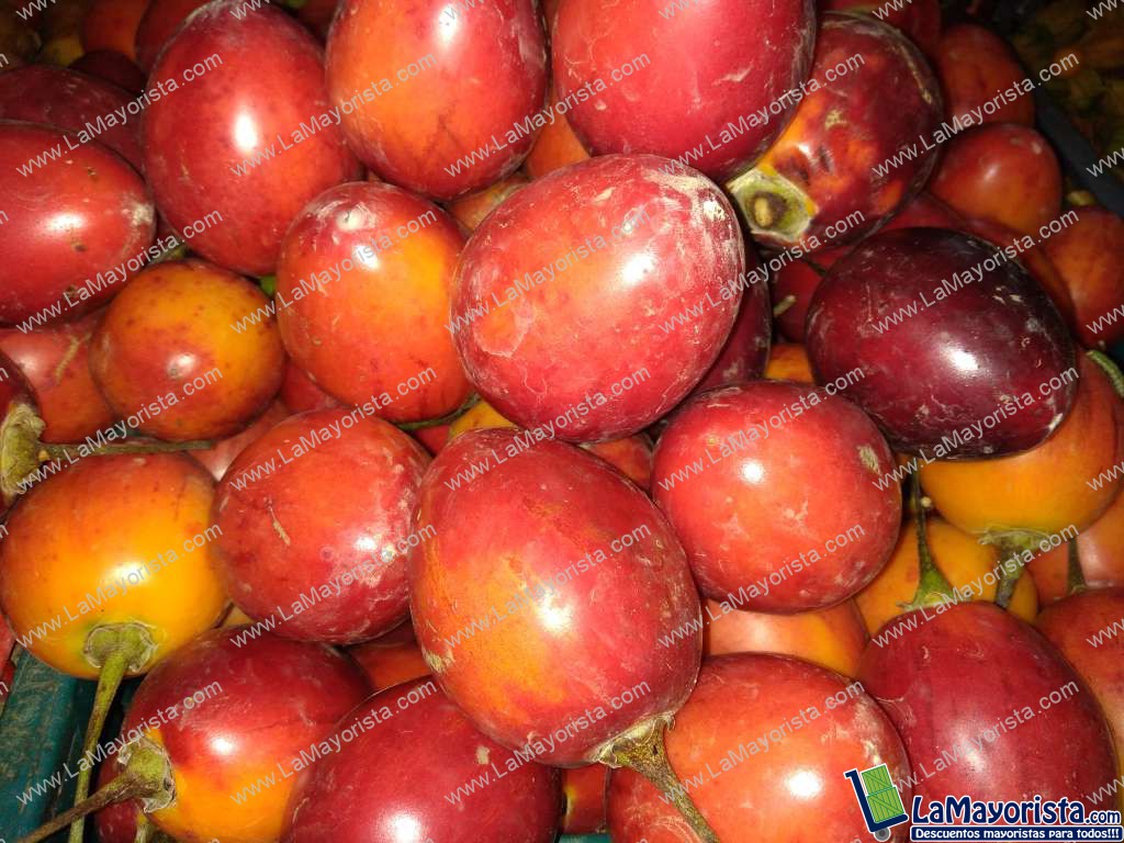 Tomate de árbol injerto