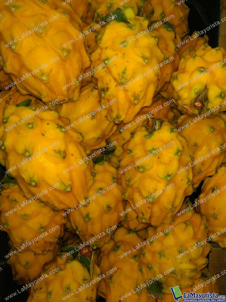 Pitaya