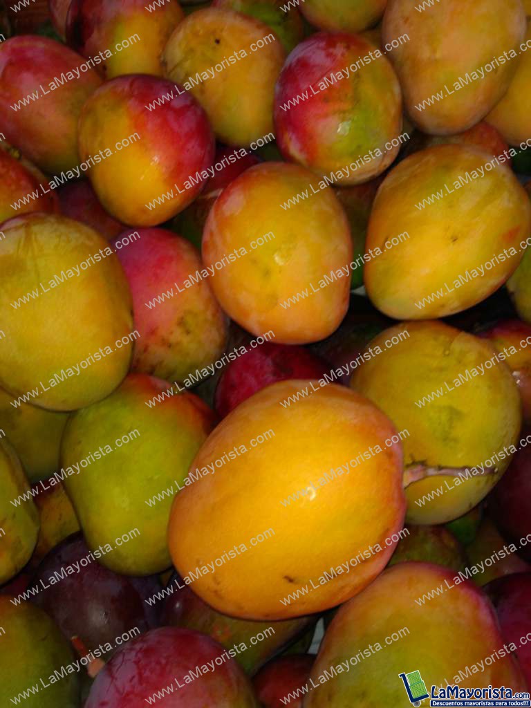 Mango tommy