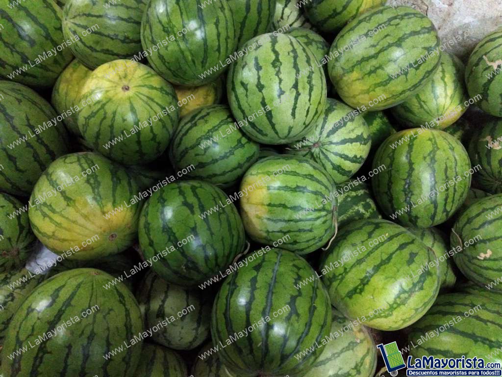 Sandia baby