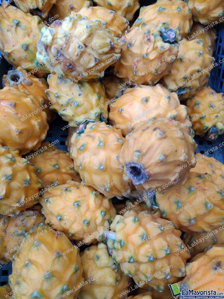 Pitaya