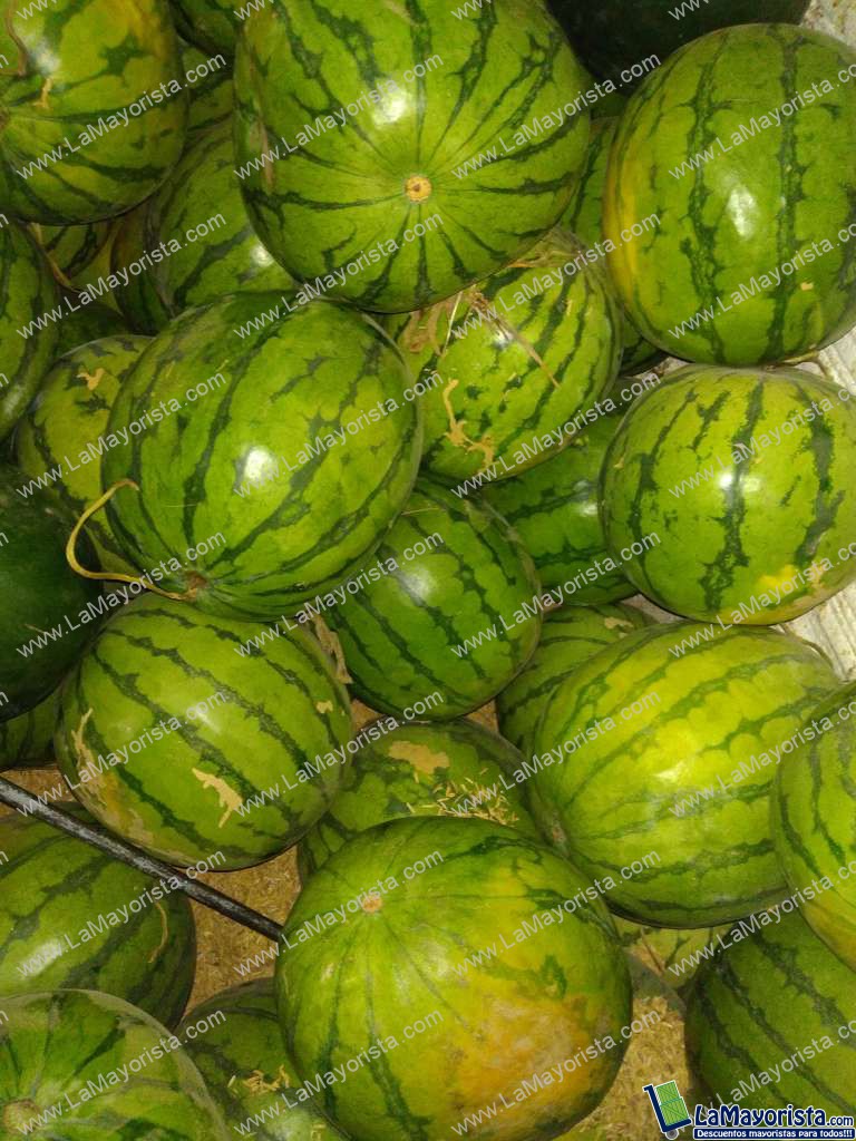 Sandia baby
