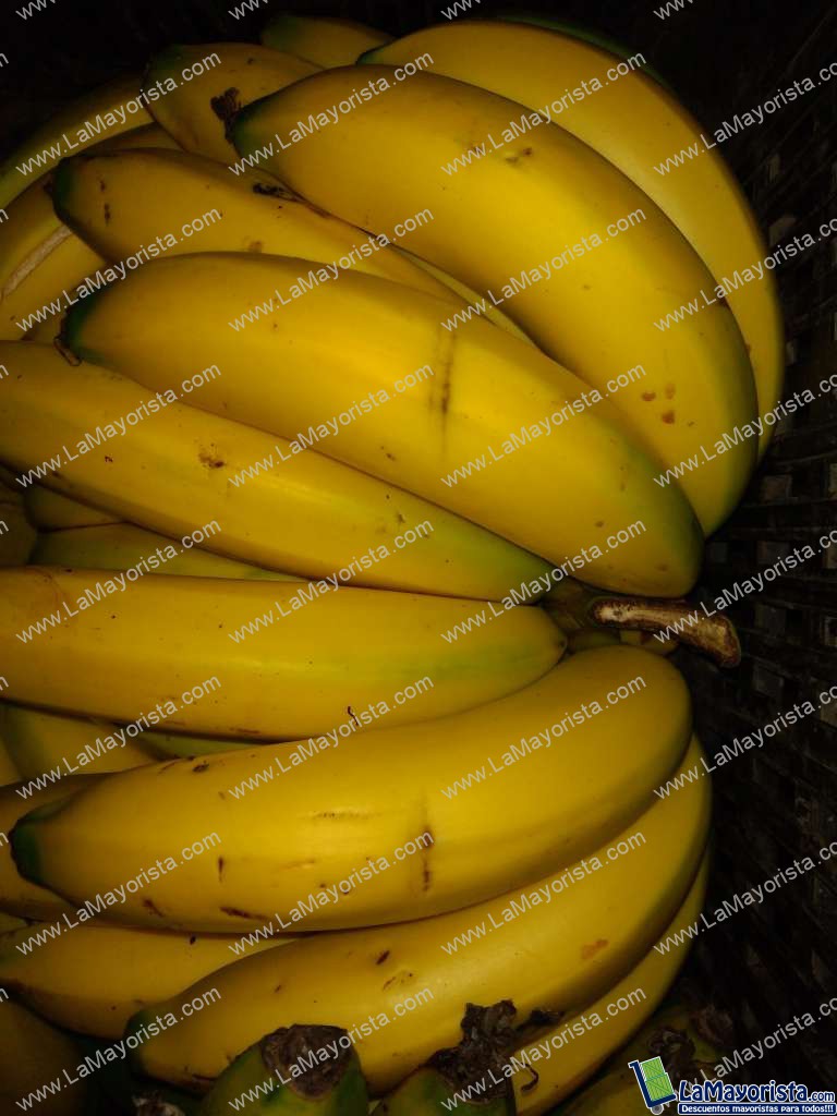 Banano criollo