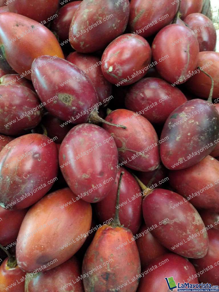 Tomate de árbol injerto