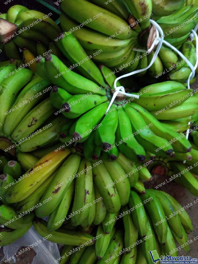 Banano criollo