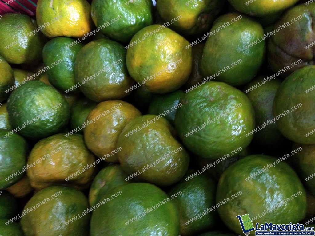 Mandarina primera