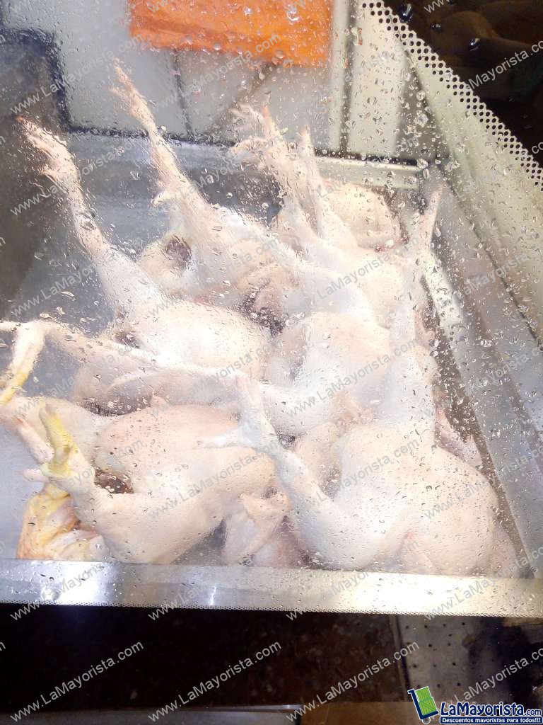 Gallina gigante