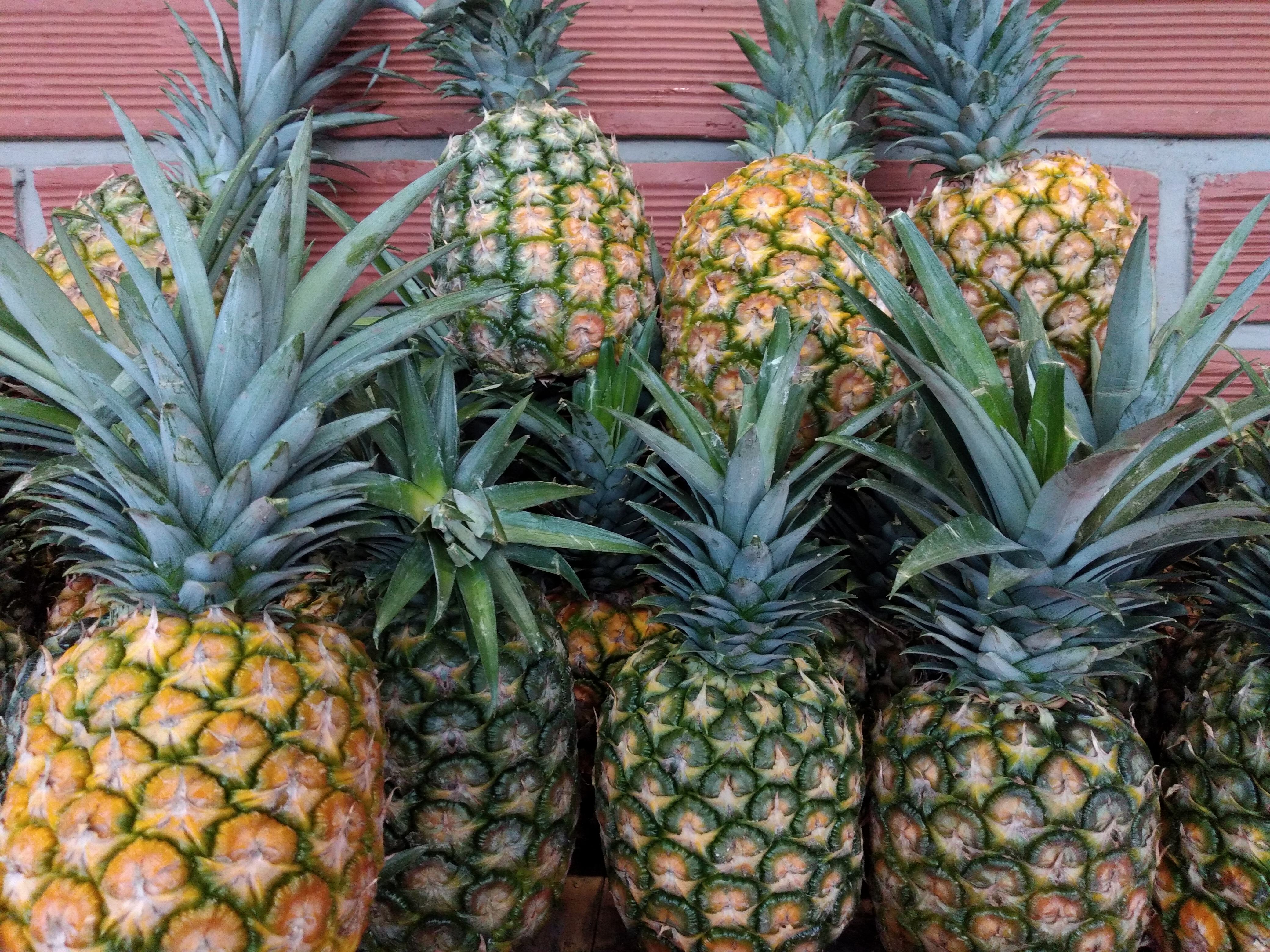 Piña oromiel