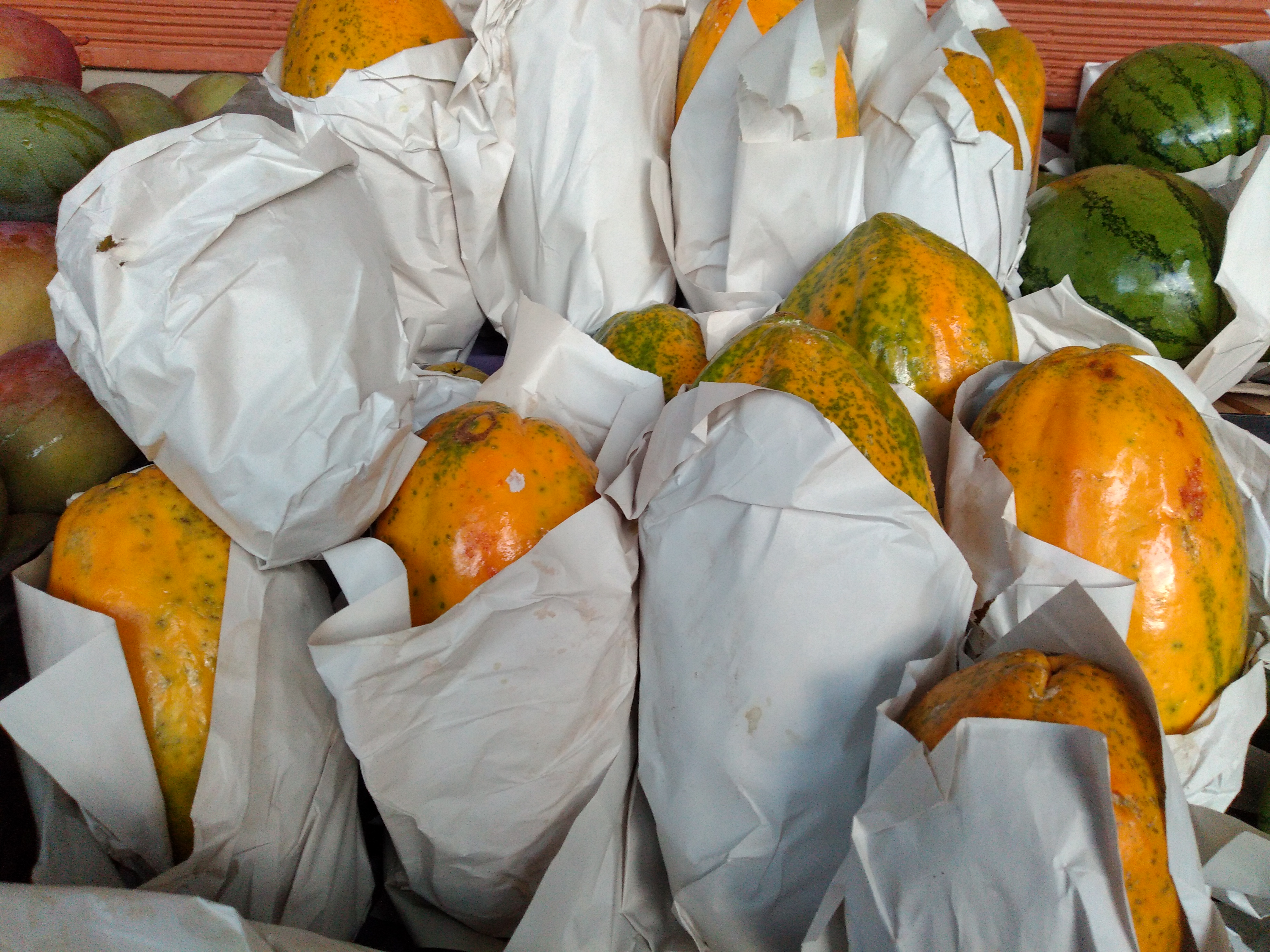Papaya maradol