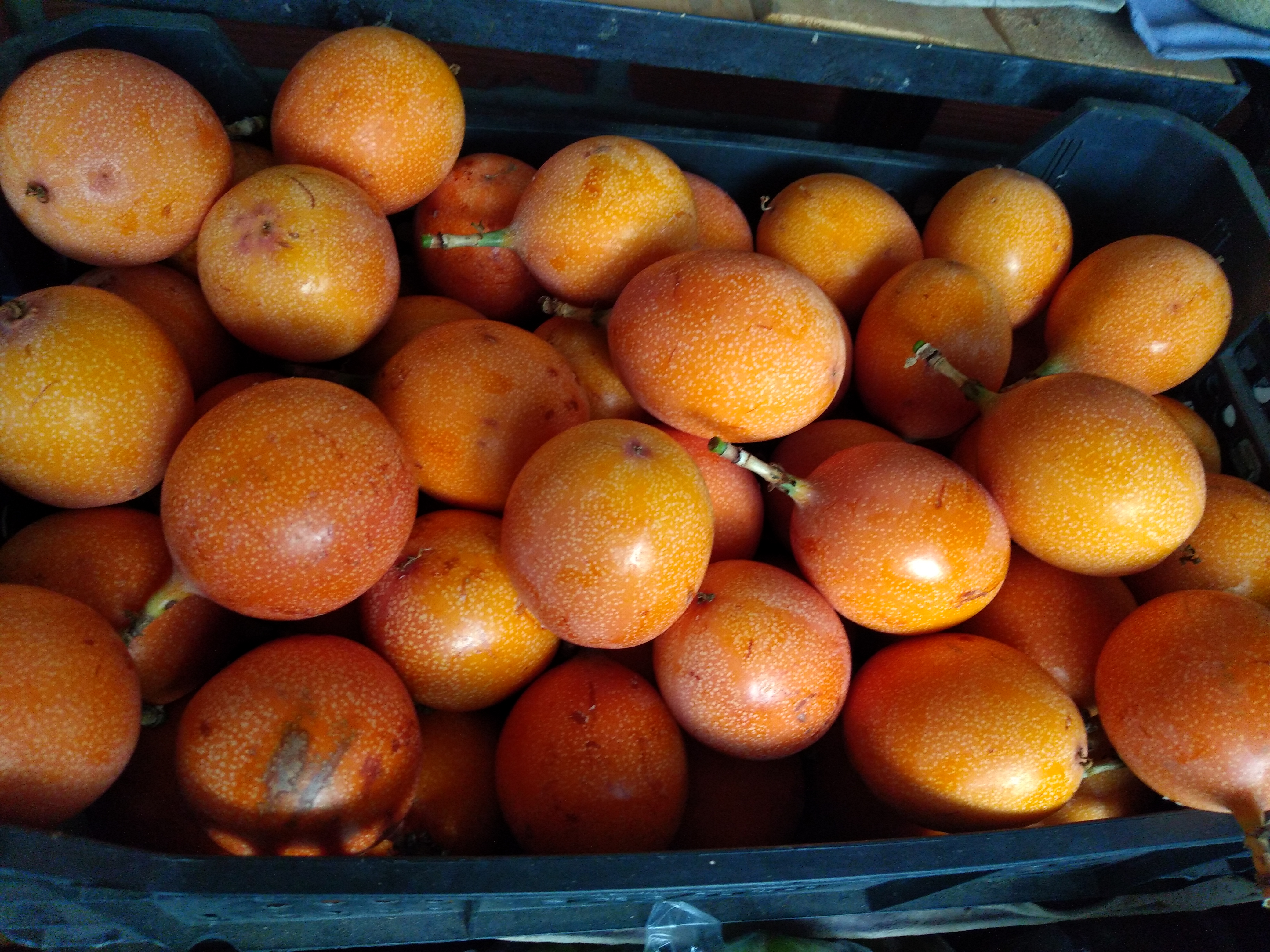 Granadilla