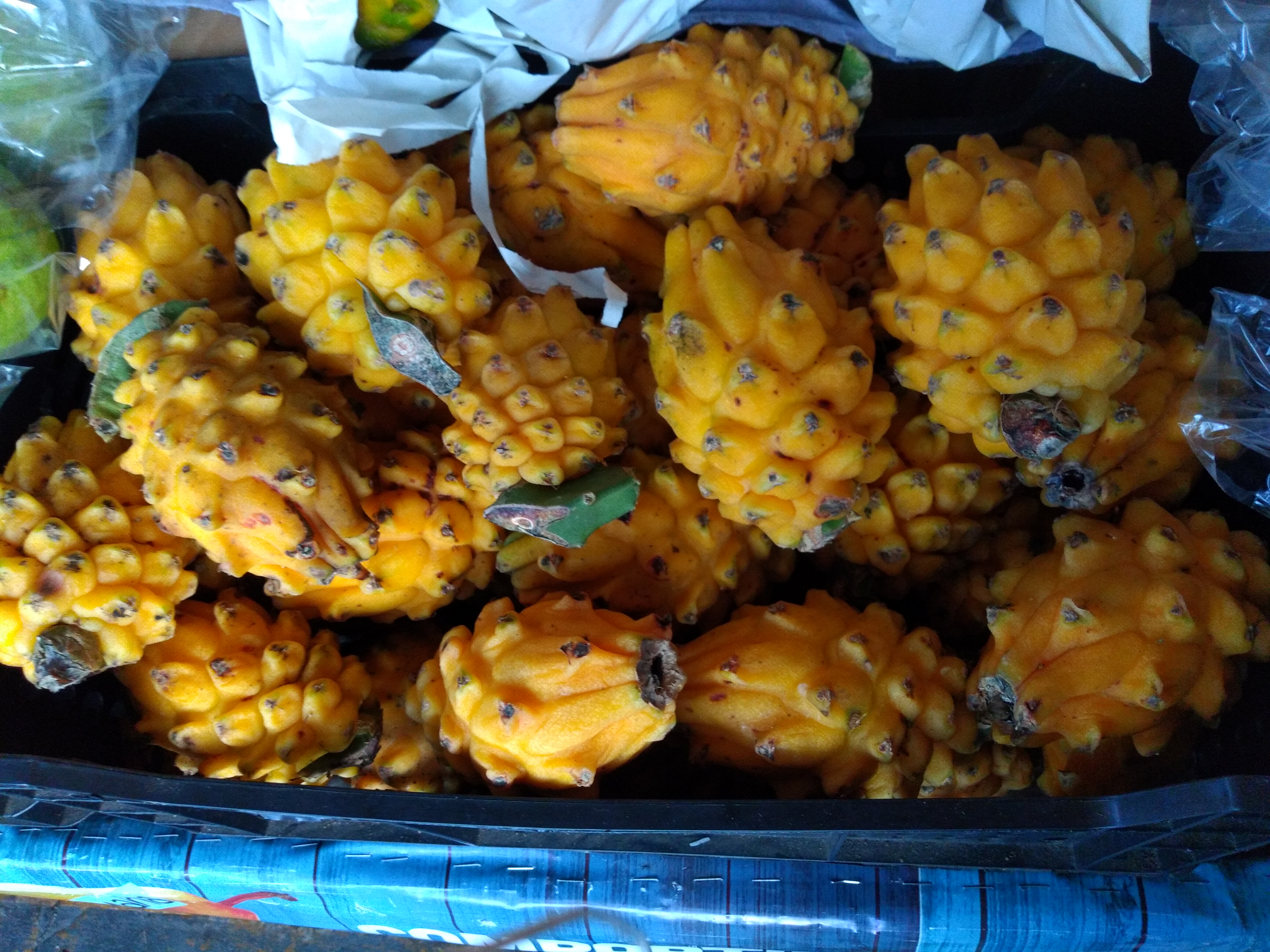Pitaya